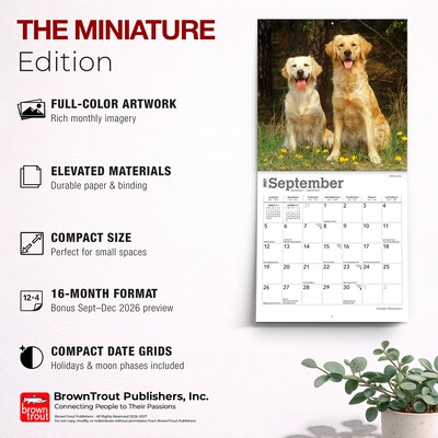 2027 BrownTrout Golden Retrievers 7" x 7" Monthly Wall Calendar, Assorted Colors (9798330714209)