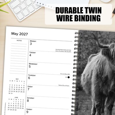 2027 Willow Creek Highland Cows 6.5" x 8.5" Weekly & Monthly Desk Calendar (64412)