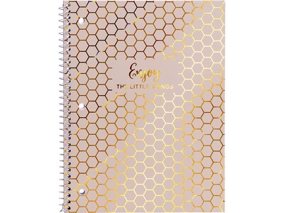 Pukka Pad Haze 1-Subject Notebooks, 8" x 10.3", College-Ruled, 50 Sheets, Assorted Colors, 3/Pack (9978(AST)-HZE)