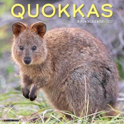 2027 Willow Creek Quokkas 12 x 12 Monthly Wall Calendar, Assorted Colors (61978)