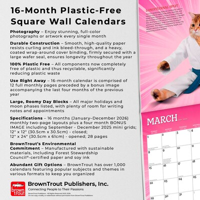 2026 BrownTrout Karate Cats 12" x 12" Monthly Wall Calendar (9798330701889)