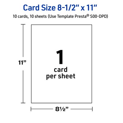 Avery Gold Multi-Lined Border Matte Blank Card, White, 10/Pack (S00-DPD)