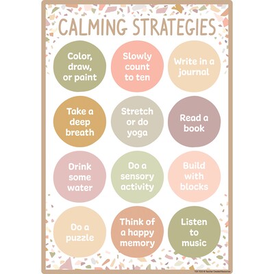 Teacher Created Resources Terrazzo Tones Positive Practices Small Poster Pack, Pack of 12 (TCR7232)
