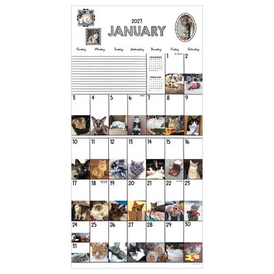 2027 TF Publishing Cat-A-Day 12 x 12 Monthly Wall Calendar (27-1002)