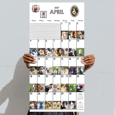 2027 TF Publishing Dog-A-Day 11" x 12" Monthly Wall Calendar (27-1009)