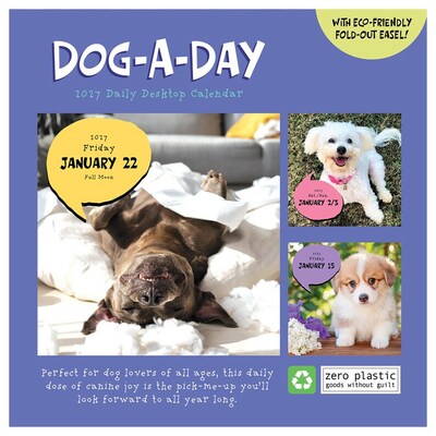 2027 TF Publishing Dog A Day 5.25" x 5.25" Daily Day-to-Day Calendar, Multicolored (27-3008)