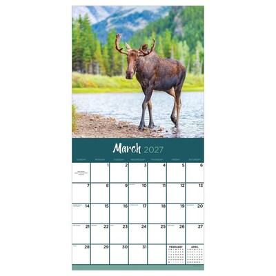2027 TF Publishing Wild 11" x 12" Monthly Wall Calendar, Multicolored (27-1032)