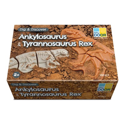 Yellow Door Dig and Discover Ankylosaurus & Tyrannosaurus Rex, Assorted Colors, 9/Set (YUS1227)