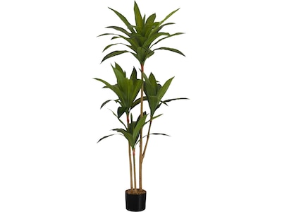 Monarch Specialties Inc. Dracaena in Pot (I 9543)