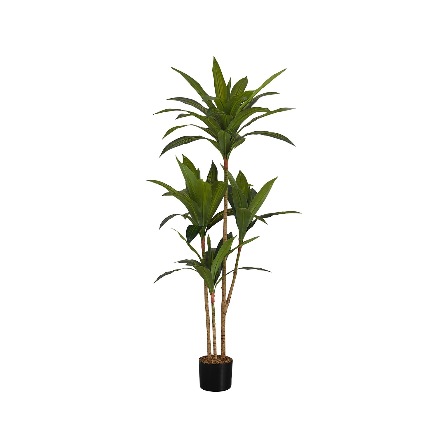 Monarch Specialties Inc. Dracaena in Pot (I 9543)