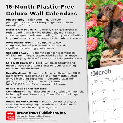 2026 BrownTrout For the Love of Dachshunds 14" x 12" Monthly Wall Calendar (9798330707140)