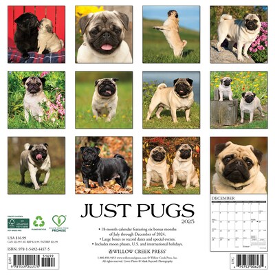 2025 Willow Creek Just Pugs 12 x 12 Monthly Wall Calendar (44575)