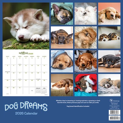 2026 TF Publishing Dog Dreams 12" x 12" Monthly Wall Calendar (26-1010)