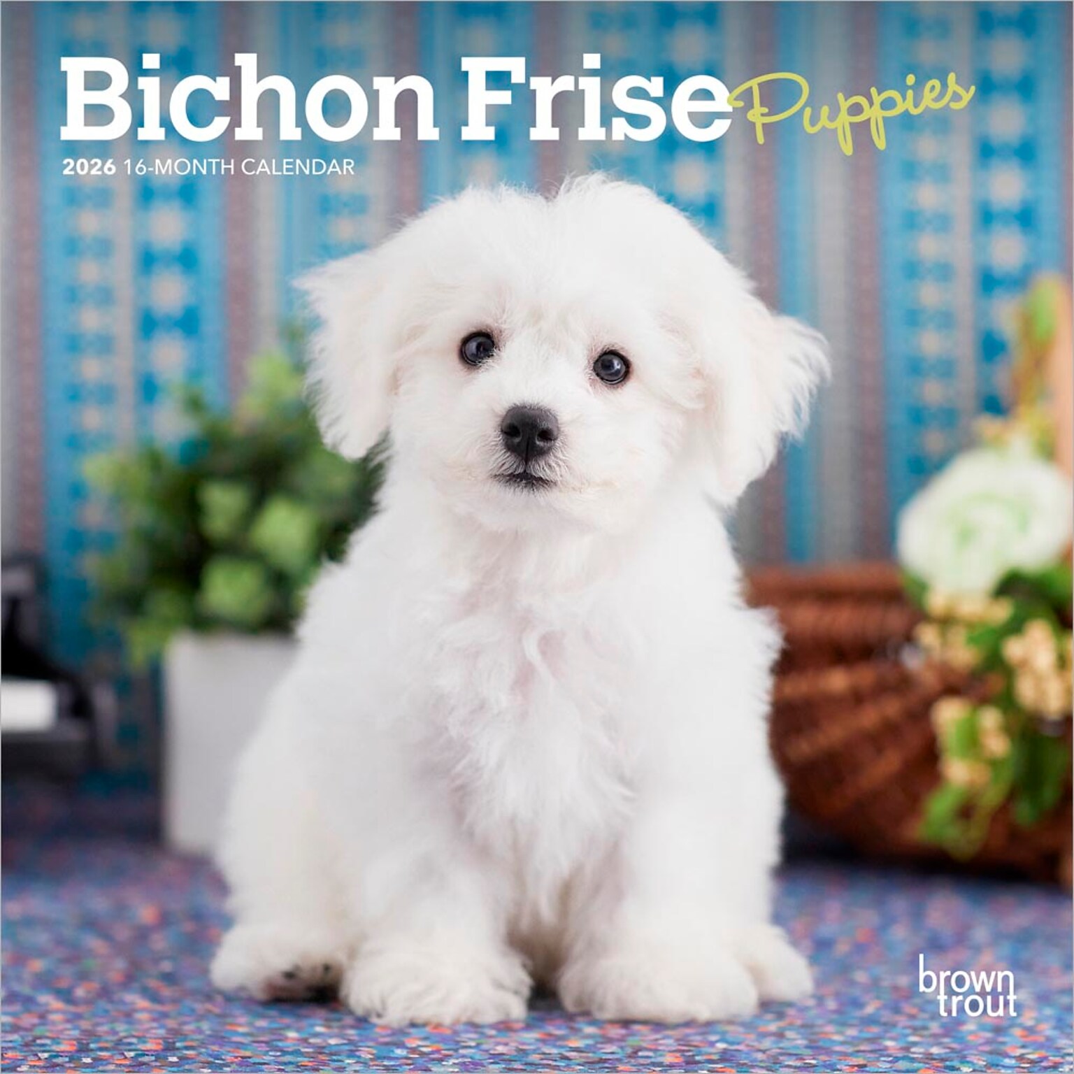 2026 BrownTrout Bichon Frise Puppies 7 x 7 Monthly Wall Calendar (9798330702428)