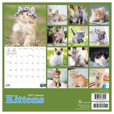 2027 TF Publishing Kittens 7" x 7" Monthly Wall Calendar, Multicolored (27-2002)