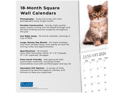 2023-2024 Plato Happy Kittens 12" x 12" Academic & Calendar Monthly Wall Calendar (9781975467180)