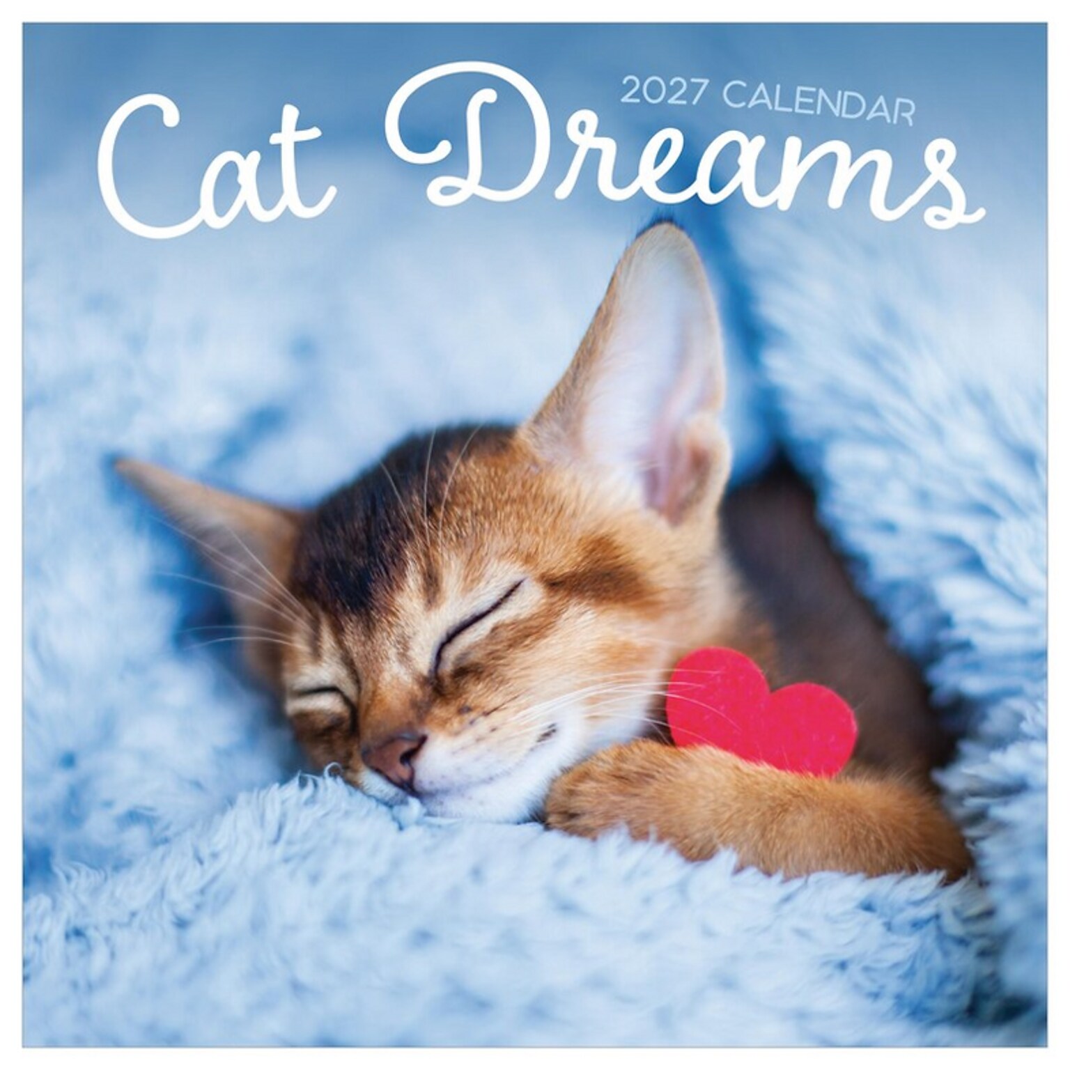2027 TF Publishing Cat Dreams 12 x 12 Monthly Wall Calendar (27-1003)