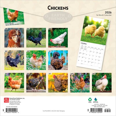 2026 BrownTrout Chickens 12 x 12 Monthly Wall Calendar (9798330702909)