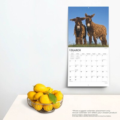 2025 BrownTrout Donkeys 12" x 24" Monthly Square Wall Calendar, (9781975476946)