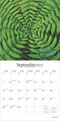 2025 Brush Dance Symmetry 12" x 12" Monthly Wall Calendar (9781975481445)