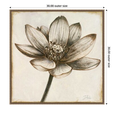 Amanti Art Sepia Lotus Blossom II by Patricia Pinto Framed Canvas Wall Art Print, 30" x 30" (A42678299854)