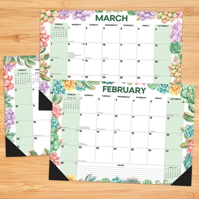 2027 Willow Creek Succulents 17 x 12 Monthly Desk Pad Calendar, Assorted Colors (66522)