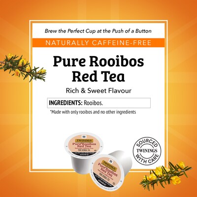 Twinings Pure Rooibos Red Herbal Tea, Keurig® K-Cup® Pods, 24/Box (TNA85791)