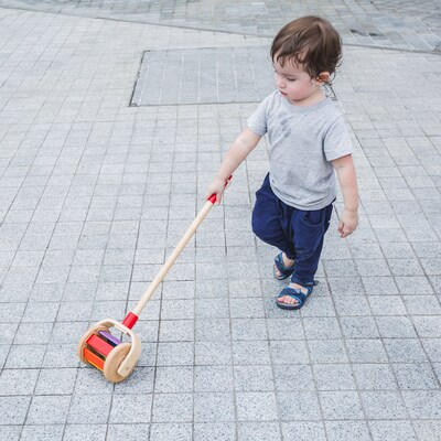 Plan Toys Walk N Roll Wooden Push & Pull Toy, Multicolored (PTS5137)