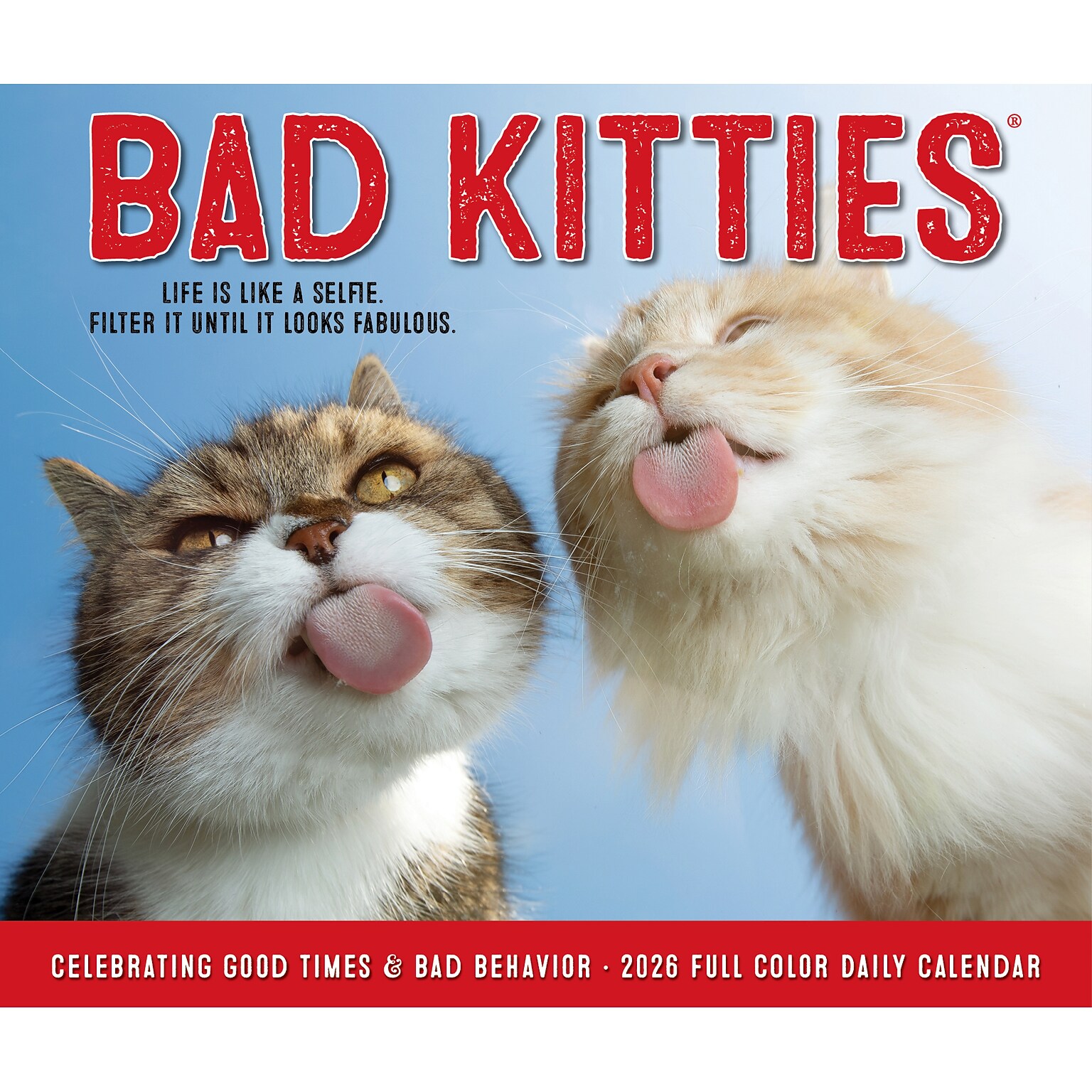 2026 Willow Creek Bad Kitties 6.2 x 5.4 Day-to-Day Calendar (53959)