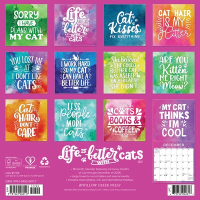 2027 Willow Creek Life is Better With Cats  12 x 12 Monthly Wall Calendar (60117)