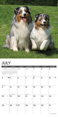 2027 Willow Creek 12" x 12" Monthly Wall Calendar, Assorted Colors (58930)