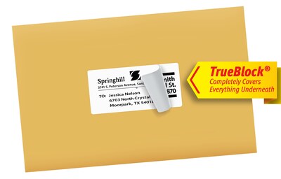 Avery TrueBlock Inkjet Shipping Labels, 2" x 4", White, 10 Labels/Sheet, 50 Sheets/Box (8363)