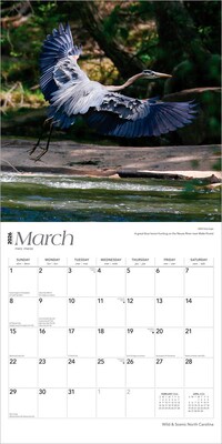 2026 BrownTrout North Carolina Wild & Scenic 12" x 12" Monthly Wall Calendar (9798330704910)