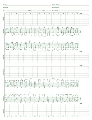 Medical Arts Press®  Dental Periodontal Chart (2114