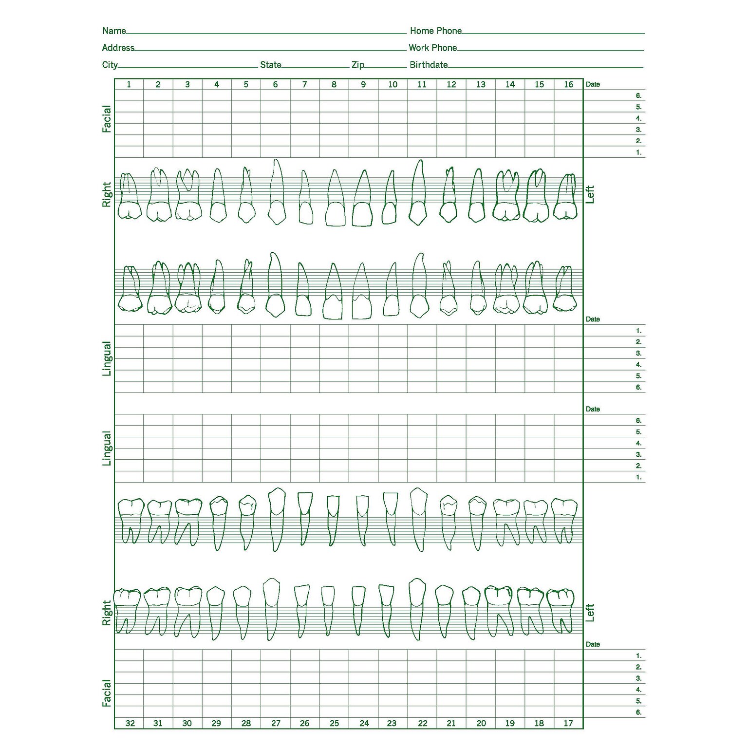 Medical Arts Press Dental Periodontal Chart (21143RL)