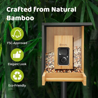 Birdfy Feeder Bamboo Mini with Camera, Solar Panel and Free AI Lifetime Subscription, Black & Brown (EPPAMBNI8412110)