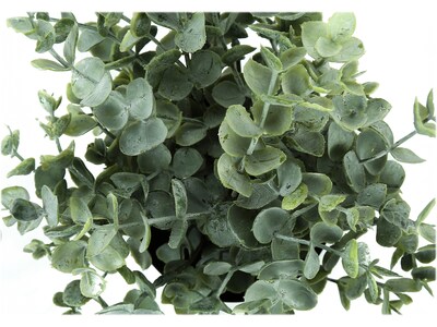 Monarch Specialties Inc. Eucalyptus and Grass in Pots, 2/Pack (I 9580)