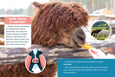 Farm Animal Sanctuaries Picture Book, Hardcover