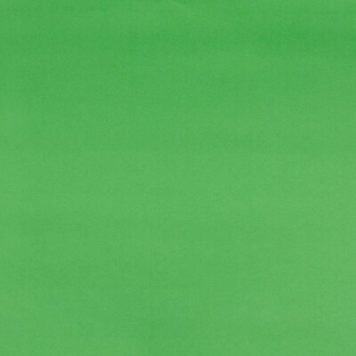 JAM Paper Gift Wrap, 26.3' x 2.5", Lime Green, 2/Pack (277013530263a)