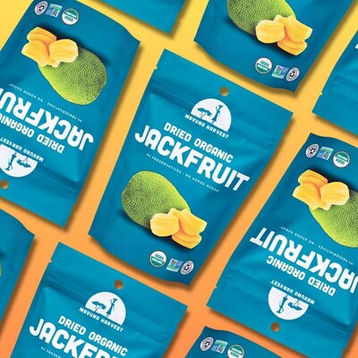 Mavuno Harvest Gluten Free Organic Dried Jackfruit Fruit Snacks, 2 oz., 6 Bags/Pack (MAHW-JACK2OZ6PK)