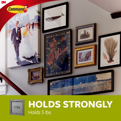 Command Large  Hanger w/ Stabilizer Strips, 5 lb., Silver (17047-ES)