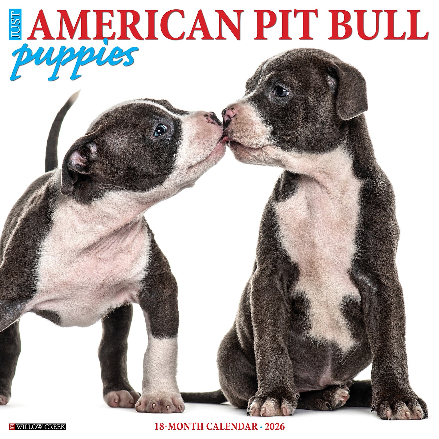 2026 Willow Creek American Pit Bull Terrier Puppies 12 x 12 Monthly Wall Calendar (49839)