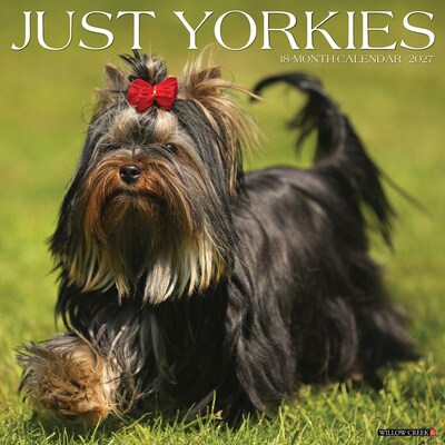2027 Willow Creek Yorkies 12 x 12 Monthly Wall Calendar, Assorted Colors (63118)