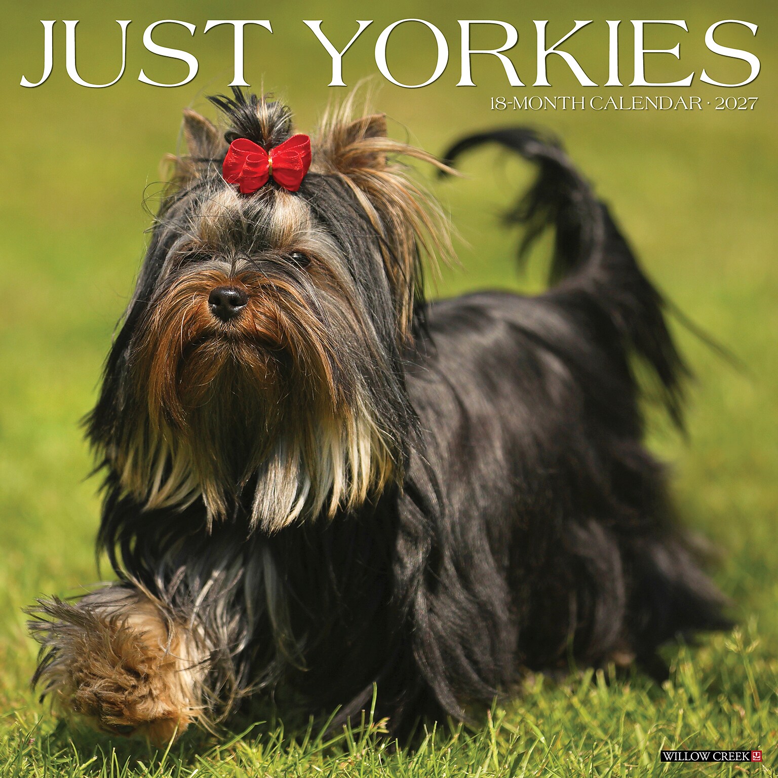 2027 Willow Creek Yorkies 12 x 12 Monthly Wall Calendar, Assorted Colors (63118)