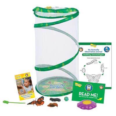Insect Lore Giant Butterfly Garden Deluxe Growing Kit (ILP01070)