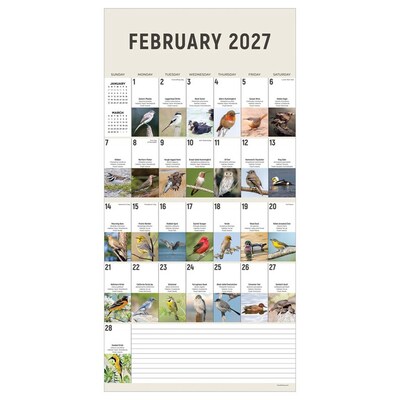 2027 TF Publishing Birds: Backyard and Beyond 12 x 12 Monthly Wall Calendar, Multicolored (27-1121)
