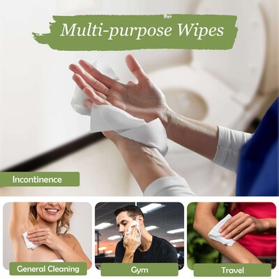 ProHeal Incontinence Wet Wipes for Adults, Fragrance-Free, 12" x 8", 56 Wipes/Pack, 6 Packs (PH-16245H)