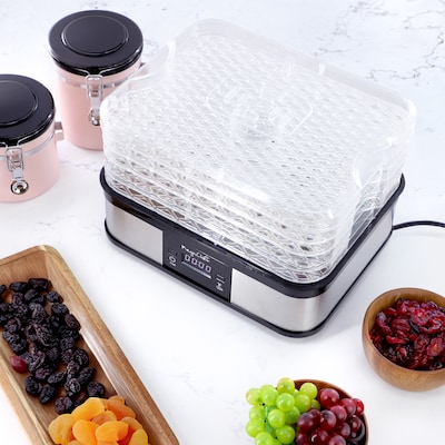 Elama 5 Tray Food Dehydrator, Black/Silver (935122412M)