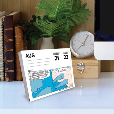 2027 Willow Creek Zoo In A Box 5.4" x 6.2" Day-to-Day Calendar (63859)