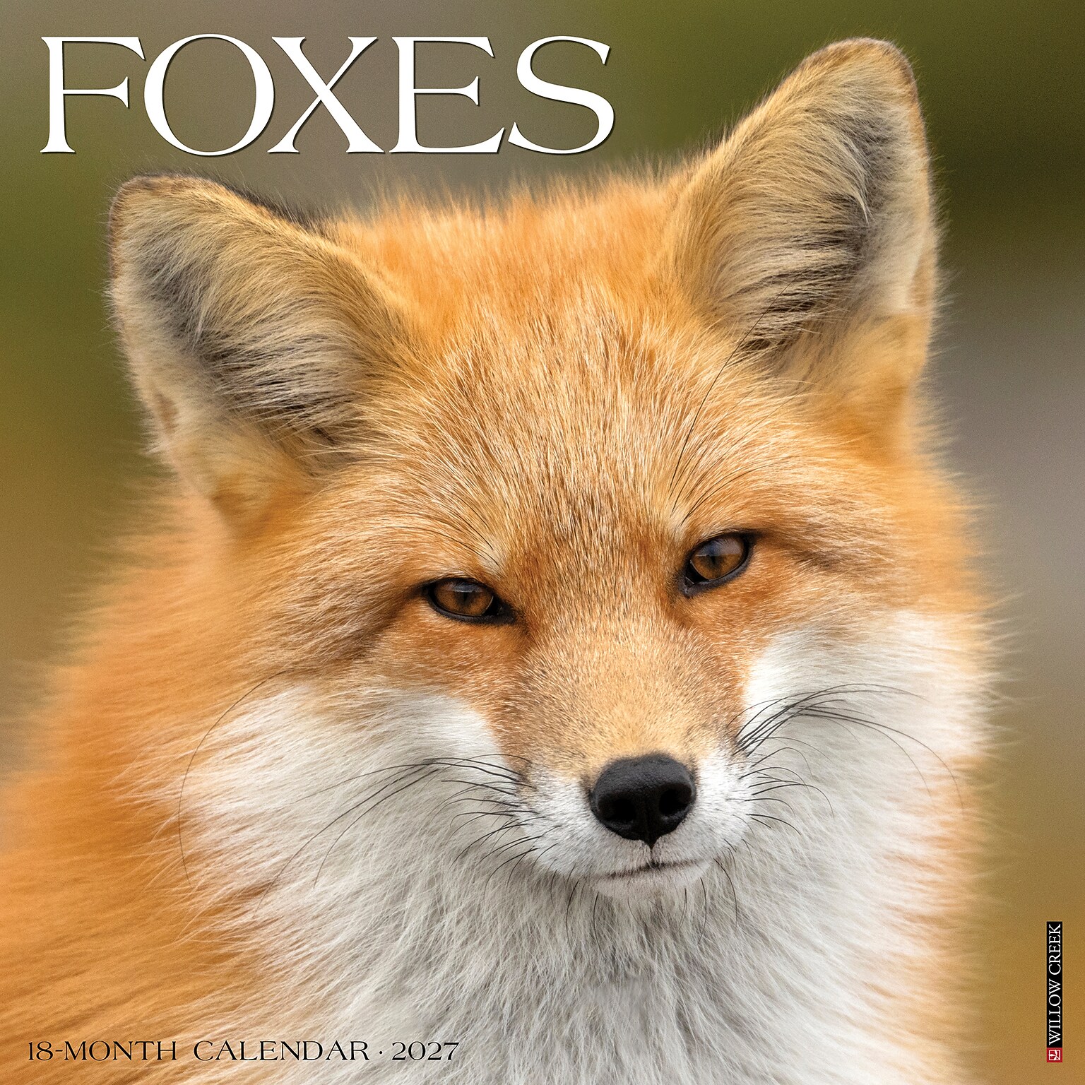 2027 Willow Creek Foxes 12 x 12 Monthly Wall Calendar, Assorted Colors (60278)